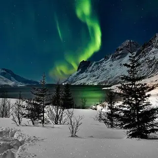 nicequotes123 avatar