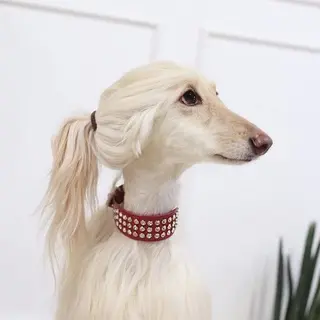 qiushuiyibing avatar